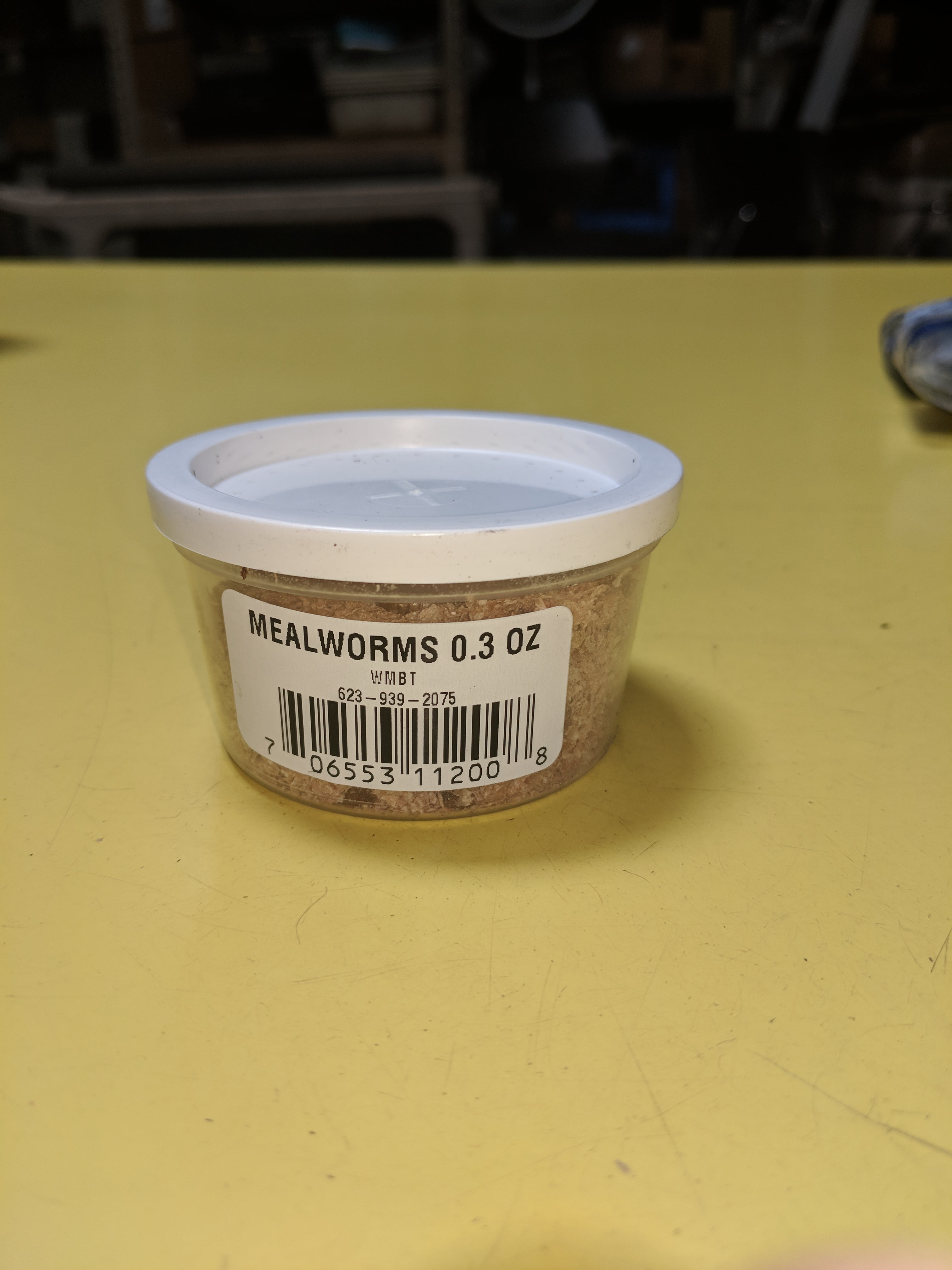 fishing worms walmart