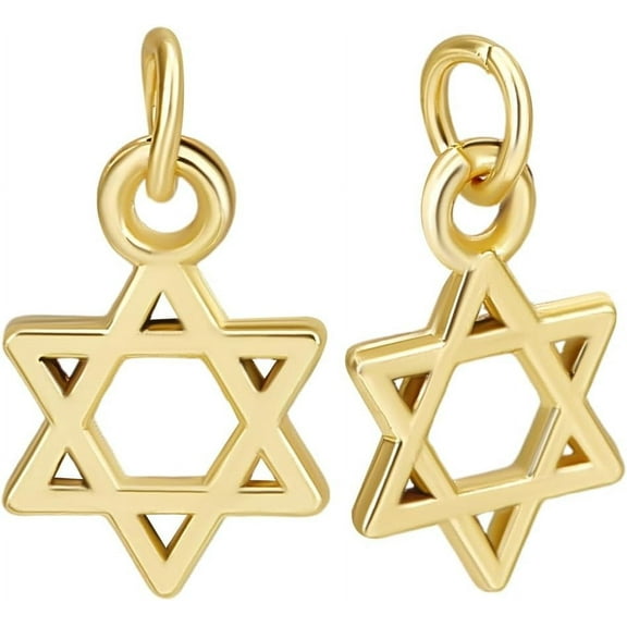 1 Box 50Pcs Small Star of David Charms 18K Gold Plated Jewish Star Charms Hollow Six-Pointed Star Charms with Side Jump Ring
