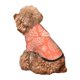 thumbnail image 5 of Fotbe Beautiful Corals Sudadera con Estampado para Perros Pequeños – Suéter con Capucha para Mascotas, Tela Suave de Forro Polar con Bolsillo-X-Large, 5 of 7