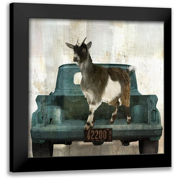 Sommers, Mindy 12x12 Black Modern Framed Museum Art Print Titled - Goat Vacation