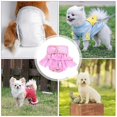 thumbnail image 3 of Pet Dog Period Pants Female Dog Nappy Dress Washable Absorbent Doggy Diaper S, 3 of 5
