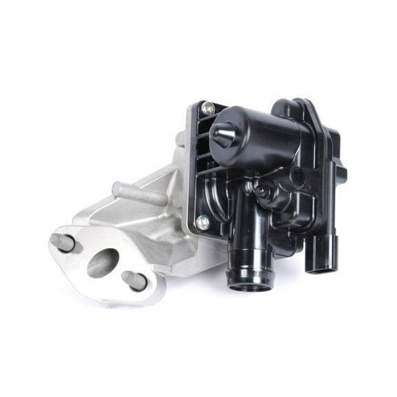 Secondary Air Injection Check Valve Fits 2014 Chevrolet Impala