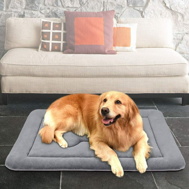 Dog crate pad walmart hotsell