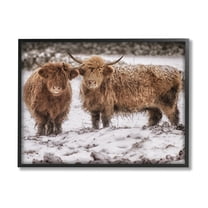 Stupell Industries Snow Dusted Highland Cattle Niveous Nature Landscape Photograph Black Framed Art Print Wall Art, Design by James Dobson