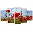 thumbnail image 2 of Photo de Fleurs de Coquelicot Rouge Vif - Œuvre d'Art Florale sur Toile, 2 of 3