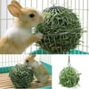 Funny Safe Sphere Feed Dispense Exercises Hanging Hay Ball Guinea Pig Hamster Rabbit Playing Pet Toy