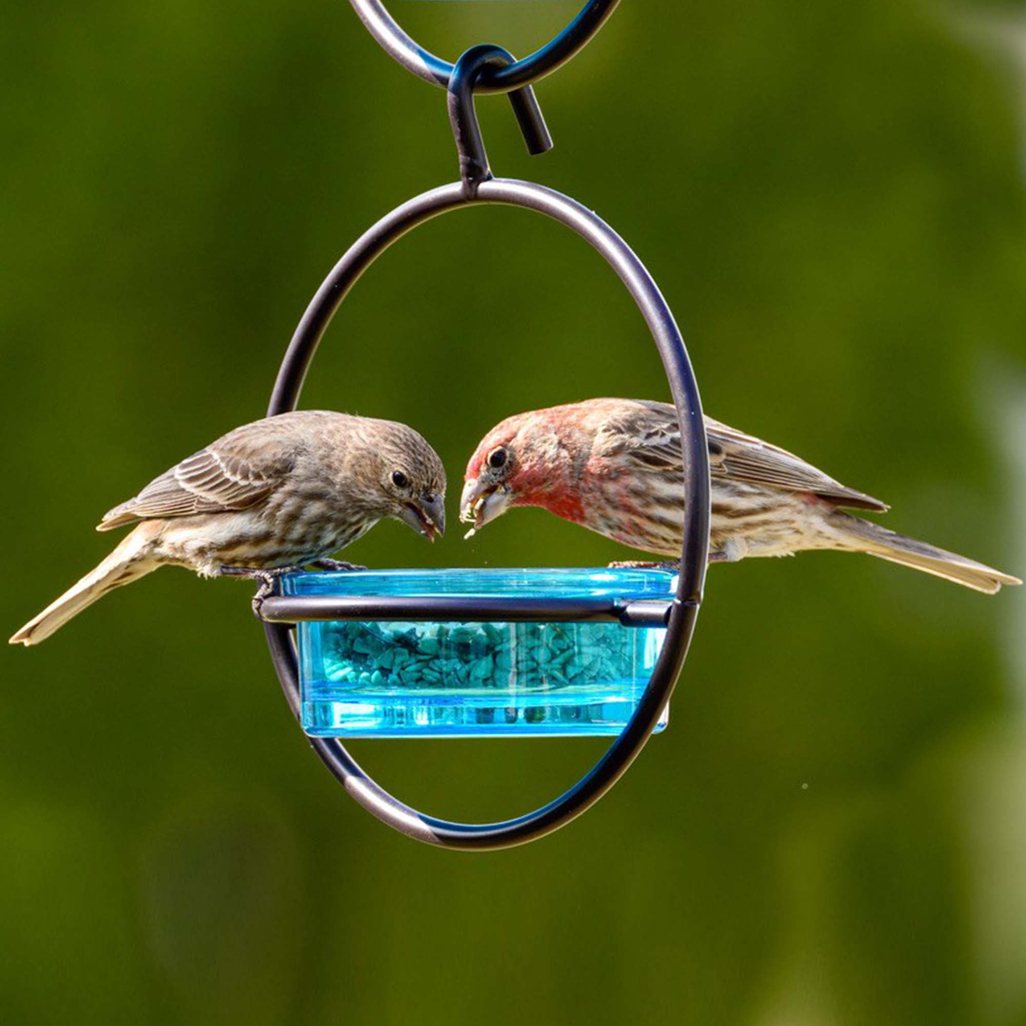 Mosaic Birds Recycled Glass & Metal Hanging Bird Feeder for Outdoors-Oriole Feeder for Garden- Bluebird Feeder -Aqua Blue