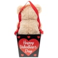 thumbnail image 3 of Peluche Way To Celebrate Oso en Caja De Regalo, 3 of 4