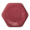 thumbnail image 2 of Tiny Twinkle - Silicone Plate - Burgundy, 2 of 5
