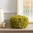 thumbnail image 2 of SAFAVIEH Faux 10 Inch Moss Pumpkin, Green, 2 of 5