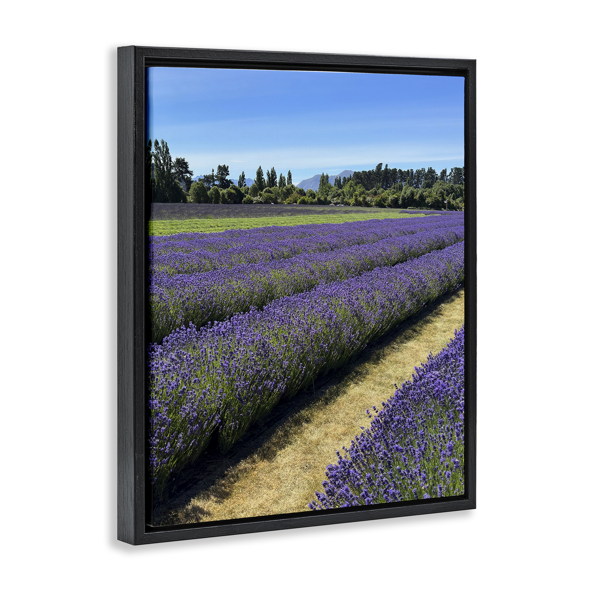 Stupell Industries Lavender Path Landscape Landscape Photography Black Floater Framed Art Print Wall Art, 17 x 21