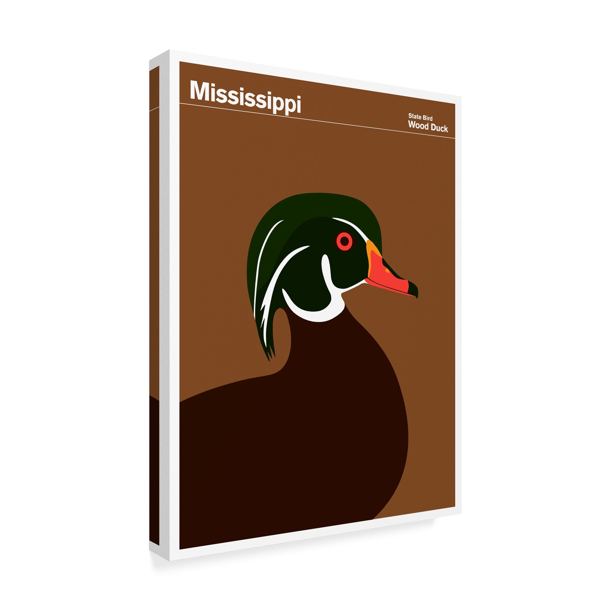 Trademark Fine Art 'Mississippi Wood Duck' Canvas Art by Print Collection - Artist