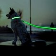 thumbnail image 1 of ATTOE Light Up ATTOE , Micro USB Rechargeable, 100% Waterproof , Glowing LED ATTOE , Safety LED ATTOE , Reflective ATTOE , Make Your Dog Safer (Green), 1 of 7