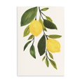 thumbnail image 5 of Stupell Industries Simple Yellow Country Lemon Leaf Citrus Fruit Paintings Unframed Art Print Wall Art, 13x19, by Annie Warren, 5 of 5