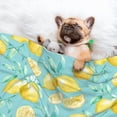 thumbnail image 3 of Naloa Yellow Lemon Dog Blanket, 3 Sizes Cat Blanket for Indoor Cats Large Medium Small Dog Gifts-Medium, 3 of 8