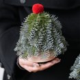 thumbnail image 2 of Christmas Tree Decorations Multicolor Plastic Music Box Handheld Christmas Tree Ornament for Mood Scene Decoration, 2 of 6