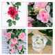 thumbnail image 3 of Flor artificial colgante, rosa para decoración del hogar y exteriores (roja), 3 of 7