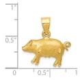 thumbnail image 3 of 14k Yellow Gold Diamond-cut Pig Pendant, 3 of 4