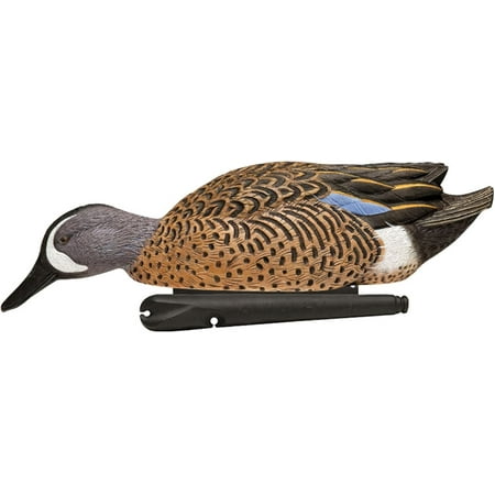 Avian X Topflight Blue-Winged Teal Decoys Realistic Floating Duck Decoys for Hunting Weight-Forward Swim Keel