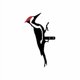 thumbnail image 2 of Woodpecker Garden Courtyard Iron Art Indoor and Outdoor Metal Crafts Decorative Pendant Flye255796, 2 of 5