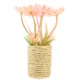 thumbnail image 1 of KAKOWELY Mini planta en maceta, bonsái en miniatura, mini bonsái artesanal, mini planta de interior decorativa, 1 of 4