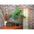 thumbnail image 5 of The Mod Greenhouse 32" Artificial Green Silk Happy Philo Tabletop Plant in Black Matte Pot, 5 of 5
