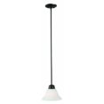 thumbnail image 1 of Design House 514513 Pendentif Mini 1-Lumière Millbridge, 1 of 1