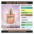 thumbnail image 5 of Seamless Hold Soul of Eternity Aromatic Citrus Woody Perfume for Men Parfum | Inspired Luxury Fragrance | Long-Lasting Oil-Based Inspired by Arabic Style - 1 oz (30 ml), 5 of 6
