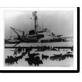thumbnail image 2 of Historic Framed Print, [Eskimos with dog teams and sleds loaded with equipment for a hydrographic mission in front of the Coast Guard icebreaker Eastwind], 17-7/8" x 21-7/8", 2 of 9
