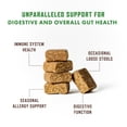 thumbnail image 2 of Rocco & Roxie Probiotics for Dogs, Support Gut and Digestive Health, Anti Diarrhea, Constipation & Gas Relief, Allergies, & Itchy Skin, Prebiotics, Enzymes, Puppy to Senior Dog Supplements Chews 60ct, 2 of 8