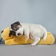 thumbnail image 2 of Juguete de Latido HonourHope Beige Calmante para Perro y Gato, 2 of 7