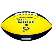 Wilson NCAA Team Logo Pee Wee Football, Michigan Wolverines