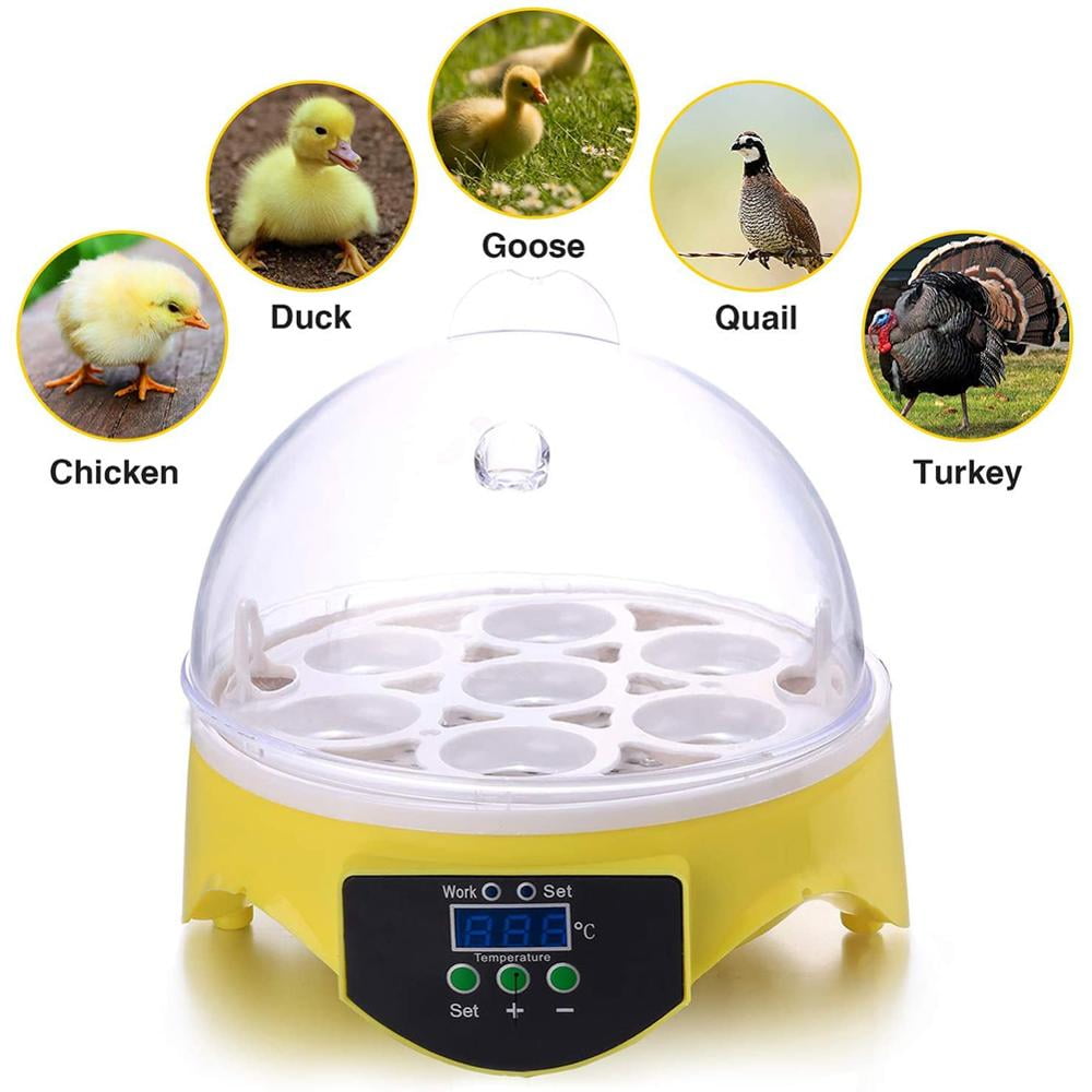 kebonnixs 12 egg incubator