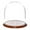 Walnut Veneer Base, variant on Plymor 11.75" x 12" Glass Display Dome Cloche (Oak Wood Base)