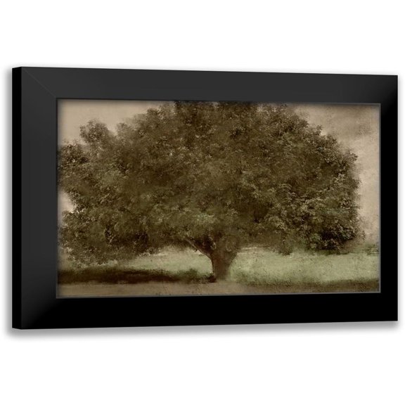 Allen, Kimberly 14x11 Black Modern Framed Museum Art Print Titled - Under the Tree