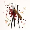 thumbnail image 4 of Body Mist PHLUR Vanilla Skin Hair & Body 240 ml, 4 of 5