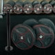 thumbnail image 4 of SWETRACE Soporte Negro Para Placas De Y Barra Con Compacto Para De Gimnasio, 4 of 8