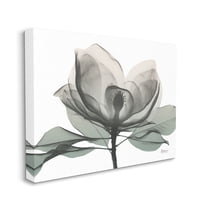 Stupell Industries White Magnolia Flower White Green Silhouette Canvas Wall Art by Albert Koetsier