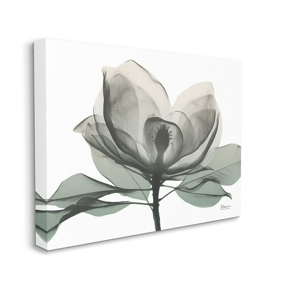 Stupell Industries White Magnolia Flower White Green Silhouette Canvas Wall Art by Albert Koetsier
