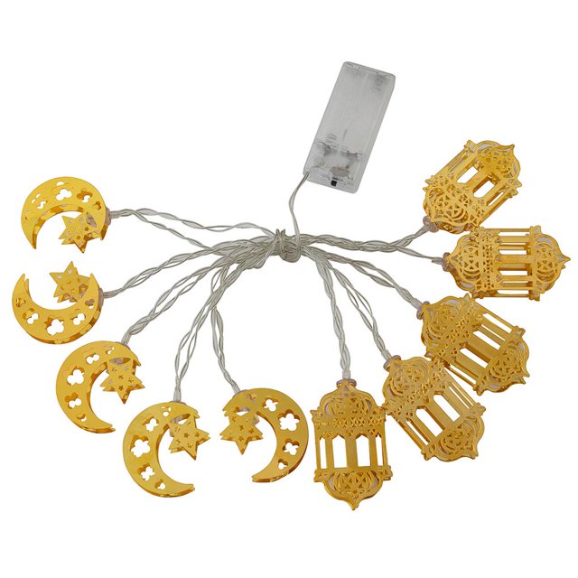 Toystoory Guirnalda de luces LED decorativas con pilas, luces de hadas blancas cálidas para Navidad, cumpleaños, bodas en interiores Iluminación navideña Toystoory HA014874-00