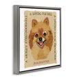 thumbnail image 3 of Stupell Industries Shabby Chic Fun Pomeranian Pet Phrases Gray Floating Frame Canvas Art, 25 x 25, by Nancy Overton, 3 of 8