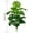 D, variant on 1Pcs Artificial Ficus Tree with Natural Wood Trunk and Lifelike Leaves, Silk Fake Potted Tree with Wood Branches, Faux Tree for Office Home Decor