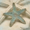 thumbnail image 3 of Seba, John 12x12 Black Modern Framed Museum Art Print Titled - Coastal Gems III, 3 of 5