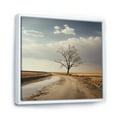 thumbnail image 2 of Designart "Tranquil Minimalism: Prairie Photography" Minimalism Floater Framed Wall Art Prints, 2 of 5