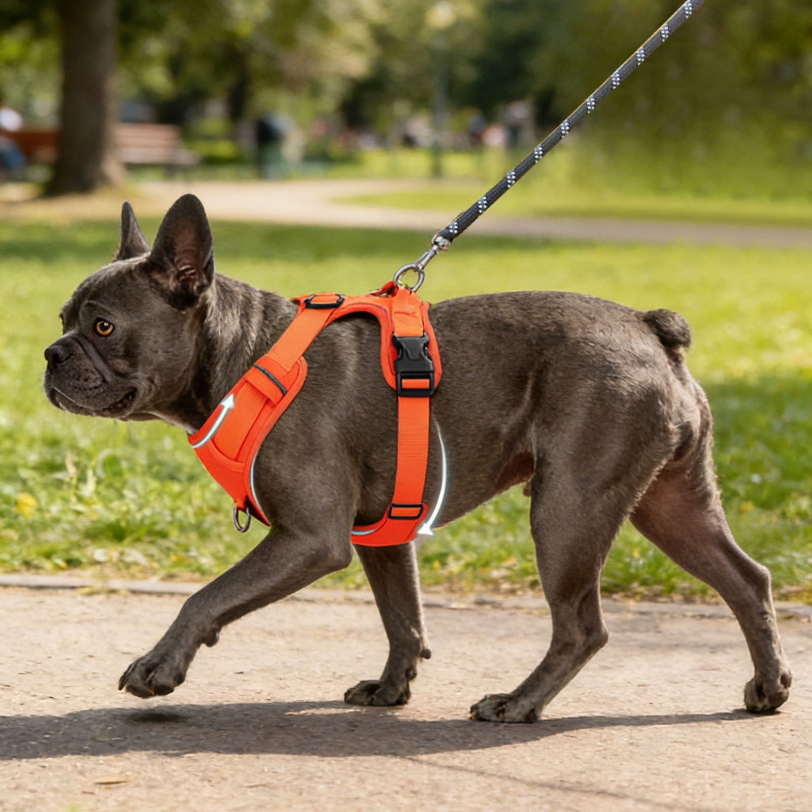 Pet Walking Harness Reflective Vest Harness for Dogs and Cats Breakaway Design for Safe Walking without Leash Pet Body Gear Orange - XL