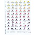 thumbnail image 2 of Carta De Color Daniel Smith, 2 of 6