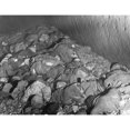 thumbnail image 2 of Bodies Of Victims Of The Ardeatine Massacre In The Roman Catacomb Where They Were Shot. 320 Italians Hostages Were, 2 of 2