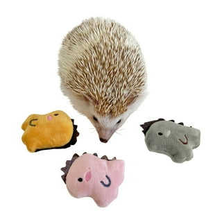 Pet top hedgehog accessories