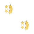 thumbnail image 4 of Wosthever Recortes de confeti de estrellas colgantes Adorno de cartel pequeño y delicado Decoración de fiesta Portátil para actividad amarillo amarillo dorado 2Conjunto, 4 of 6