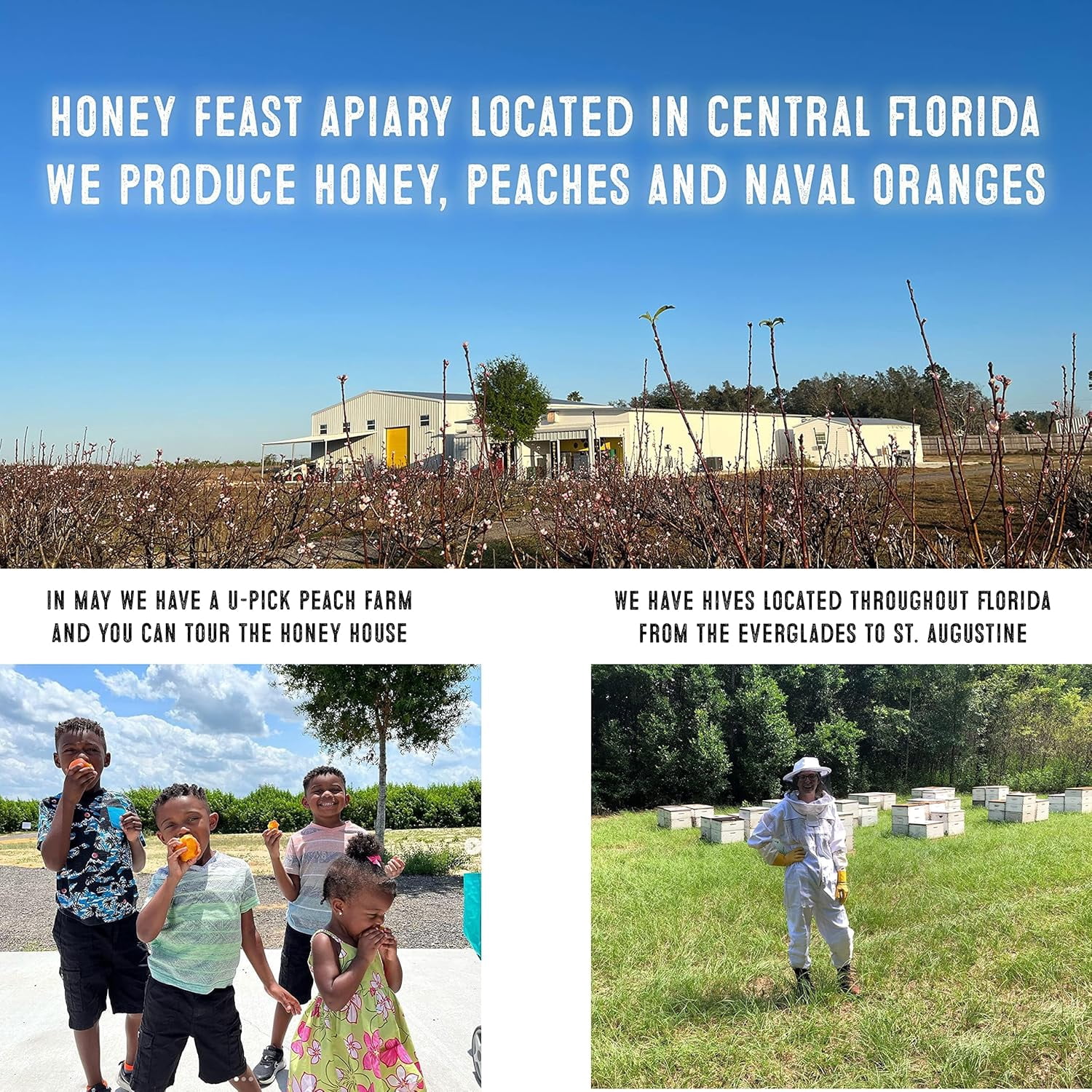 Honey Feast Orange Blossom Honey 3lb